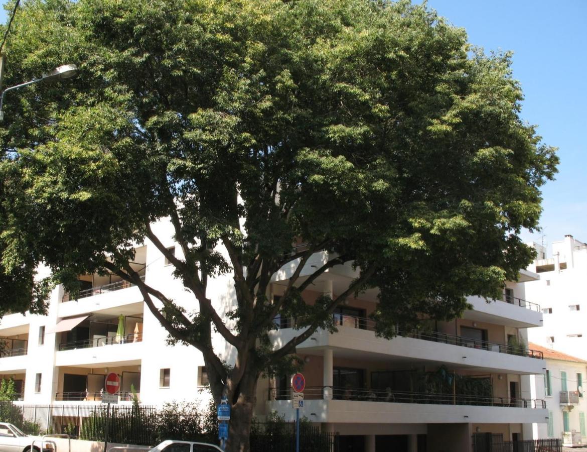Spacious Luxury Apt, 12 Min Walk To Croisette Beach And Conf Centre カンヌ エクステリア 写真